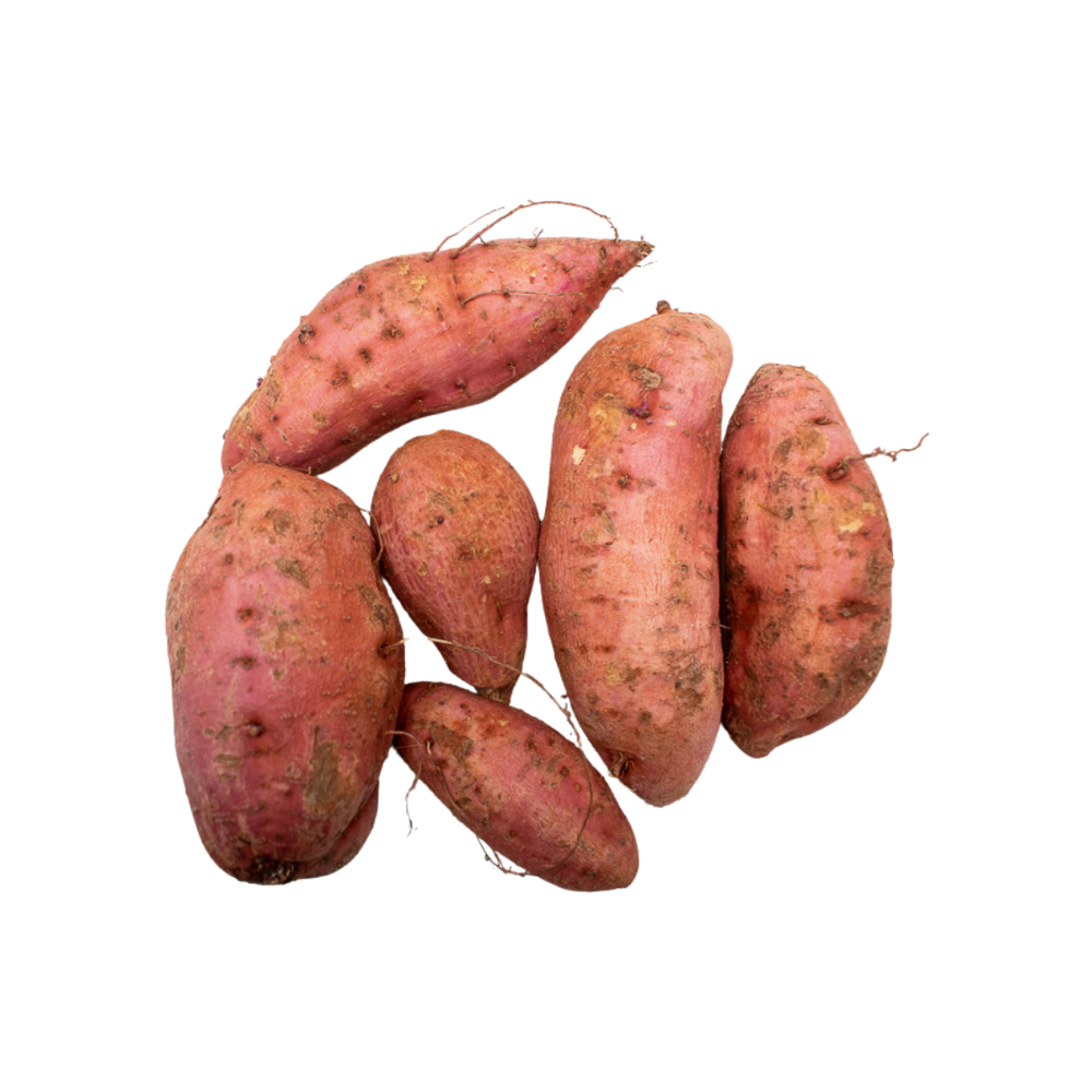 Boniato criollo MCH (2.27 kg / 5 lb) - Miniatura 3