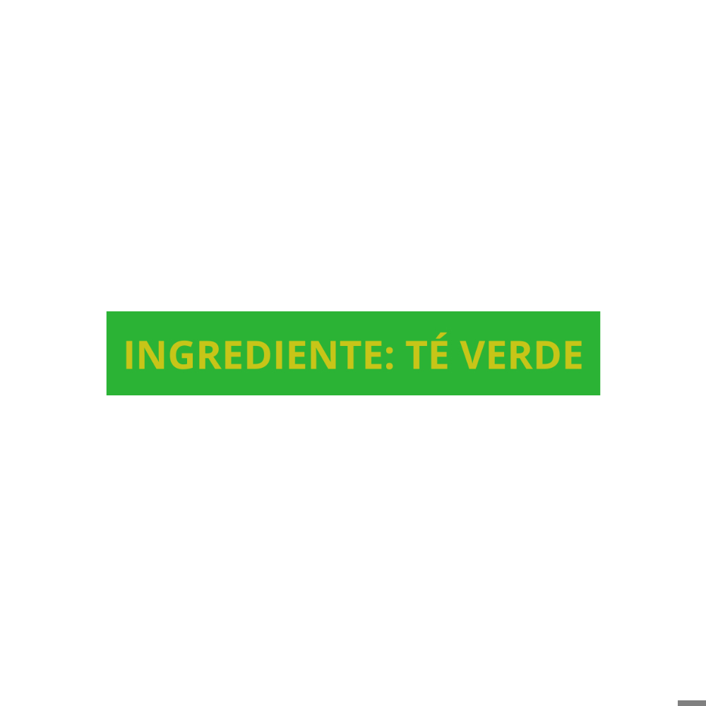 Bolsa de té verde Member's Mark (1.5 g) - Miniatura 3