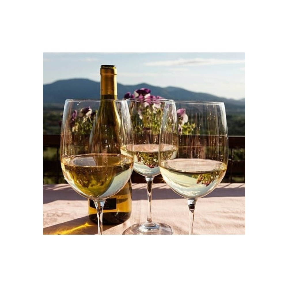 Vino blanco chardonnay Frontera (750 ml) - Miniatura 2