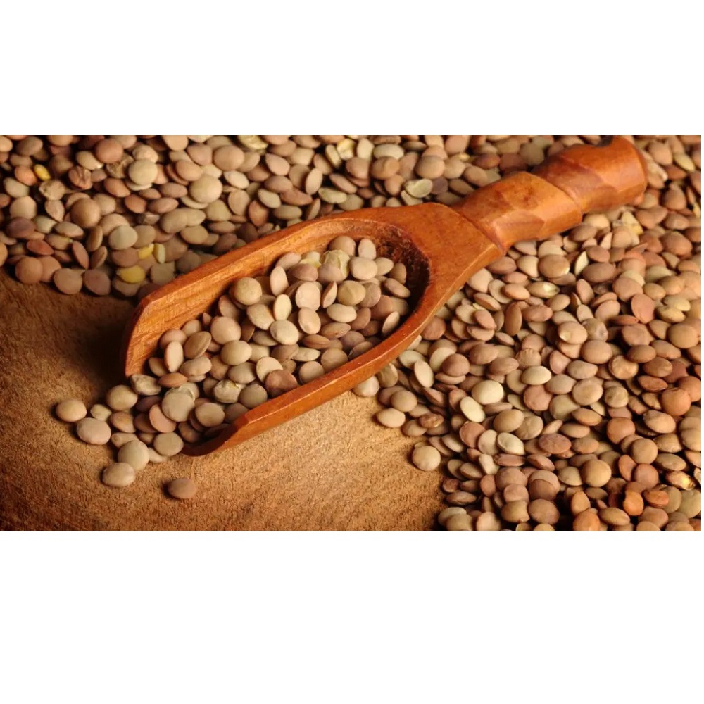 Lentejas castellanas Puñado (500 g / 1.10 lb) - Miniatura 4