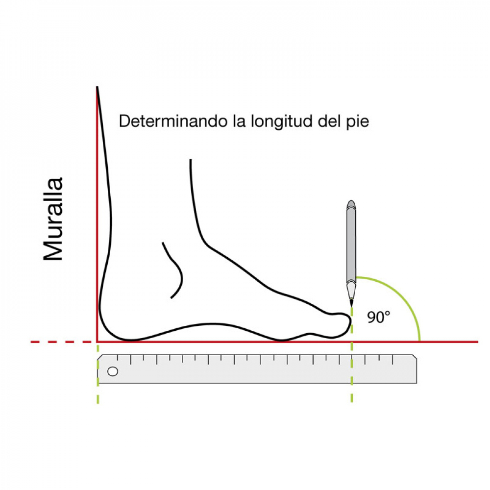 Chancleta de pala color purpura para dama Bébé (Talla 36) - Miniatura 3