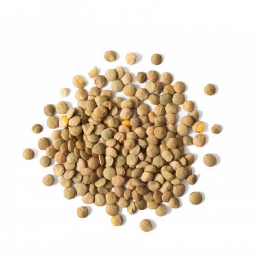 Lentejas Campo Vivo (1.36 kg / 3 lb) - Miniatura 2