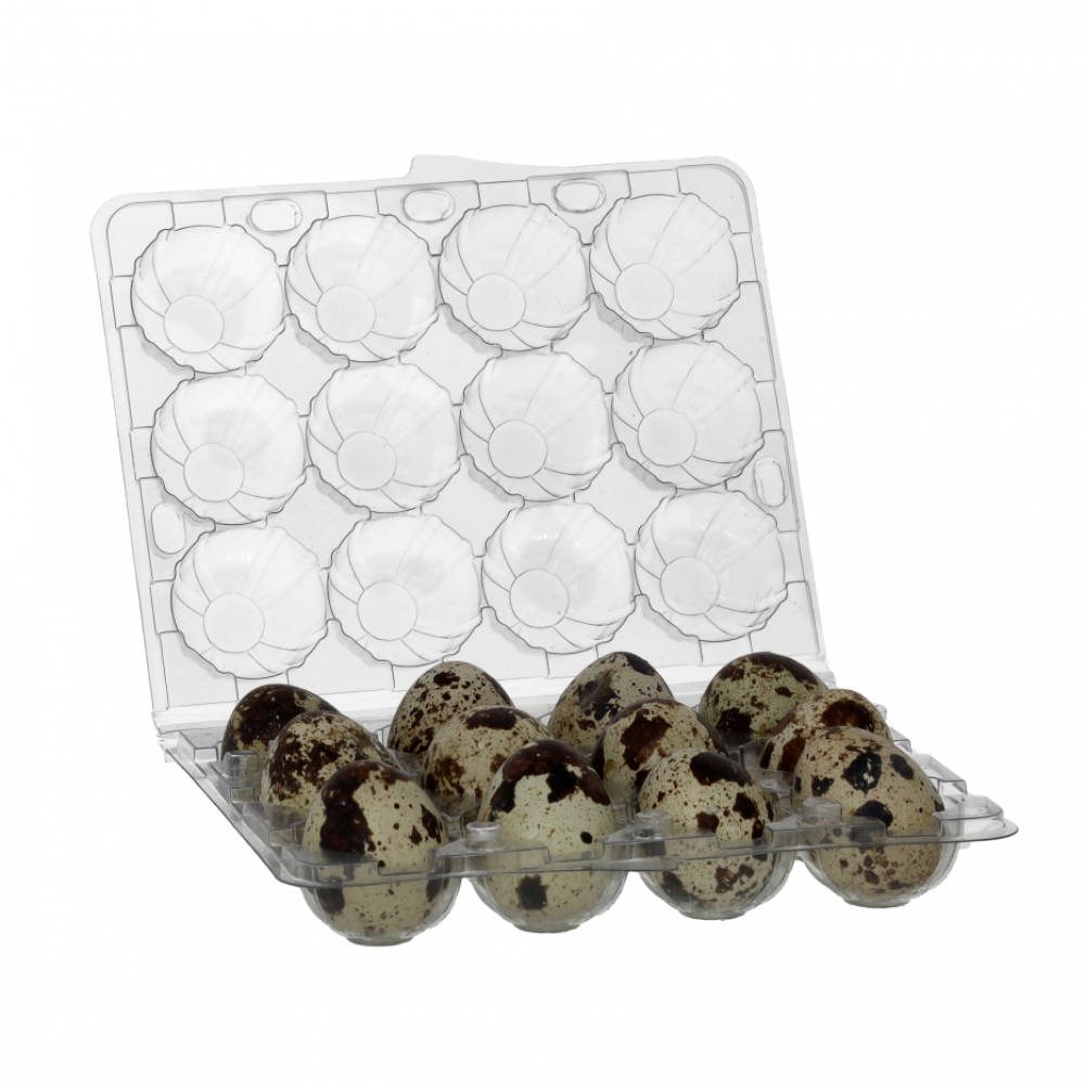 Huevos de codorniz Yeya (12 U) - Miniatura 2