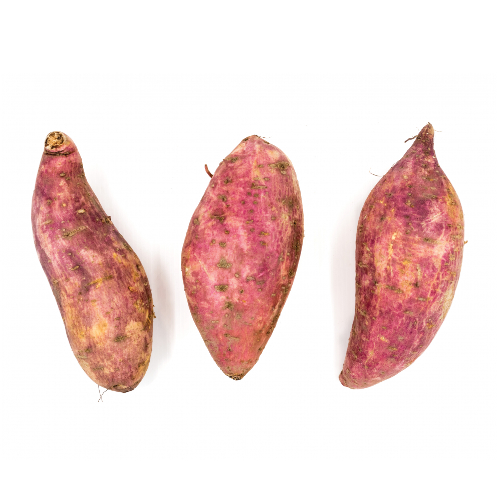 Boniato Campo Vivo (1.36 Kg / 3 lb) - Miniatura 2