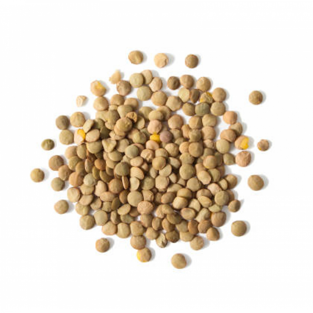 Lentejas Campo Vivo (2.26 kg / 5 lb) - Miniatura 2