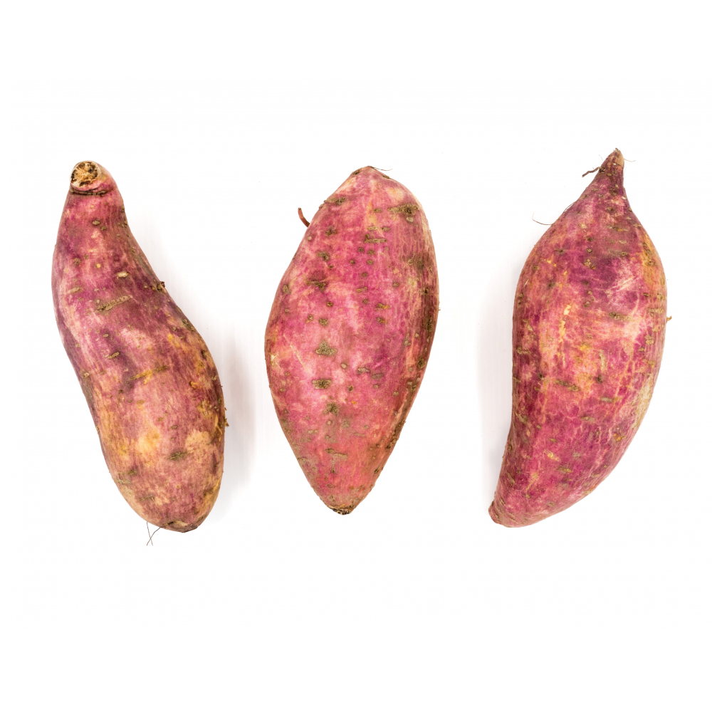 Boniato Campo Vivo (1.81 Kg / 4 lb) - Miniatura 2