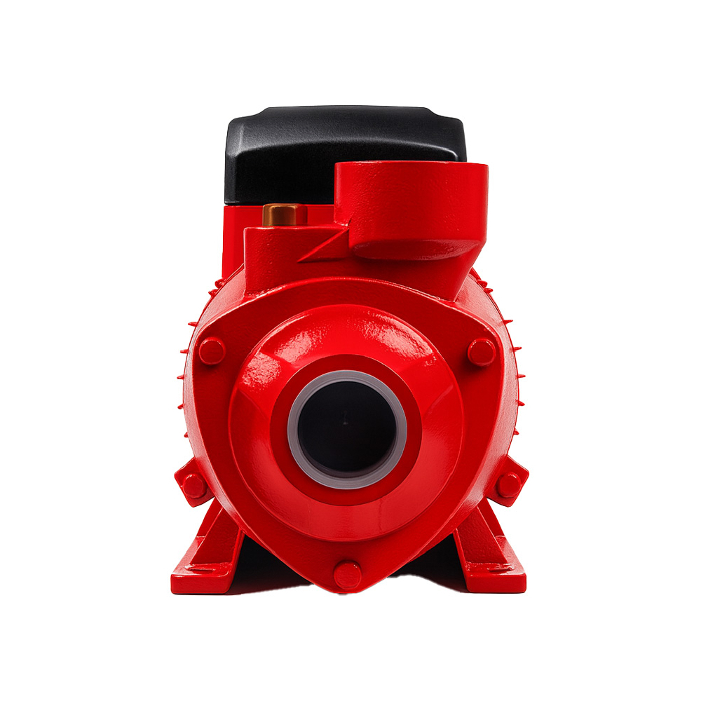 Bomba de agua periférica de 3/4 HP / 1" x 1" Dallkey DWPP_QB70 - Miniatura 3