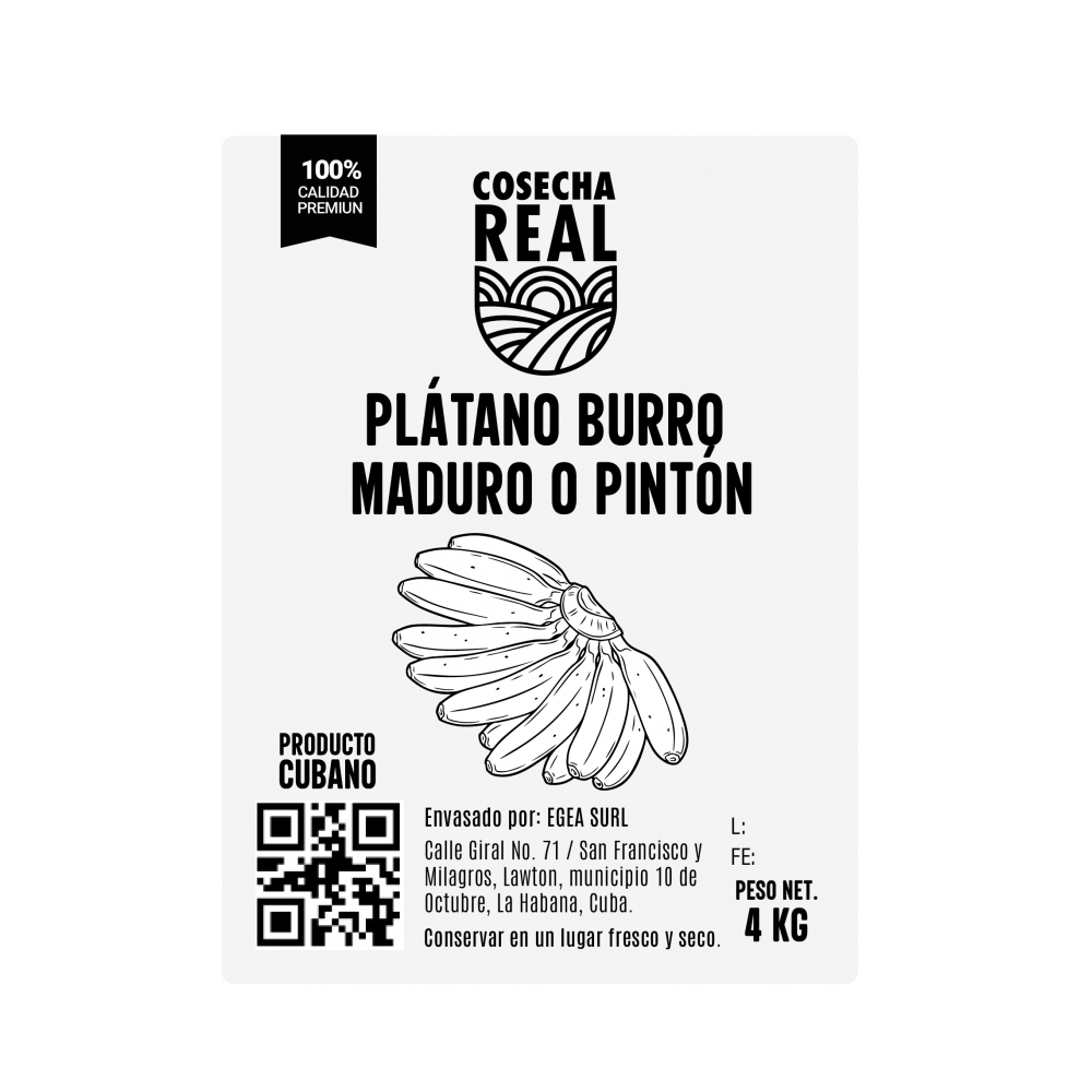 Plátano burro maduro o pintón Cosecha Real (4 kg / 8.81 lb) - Miniatura 2