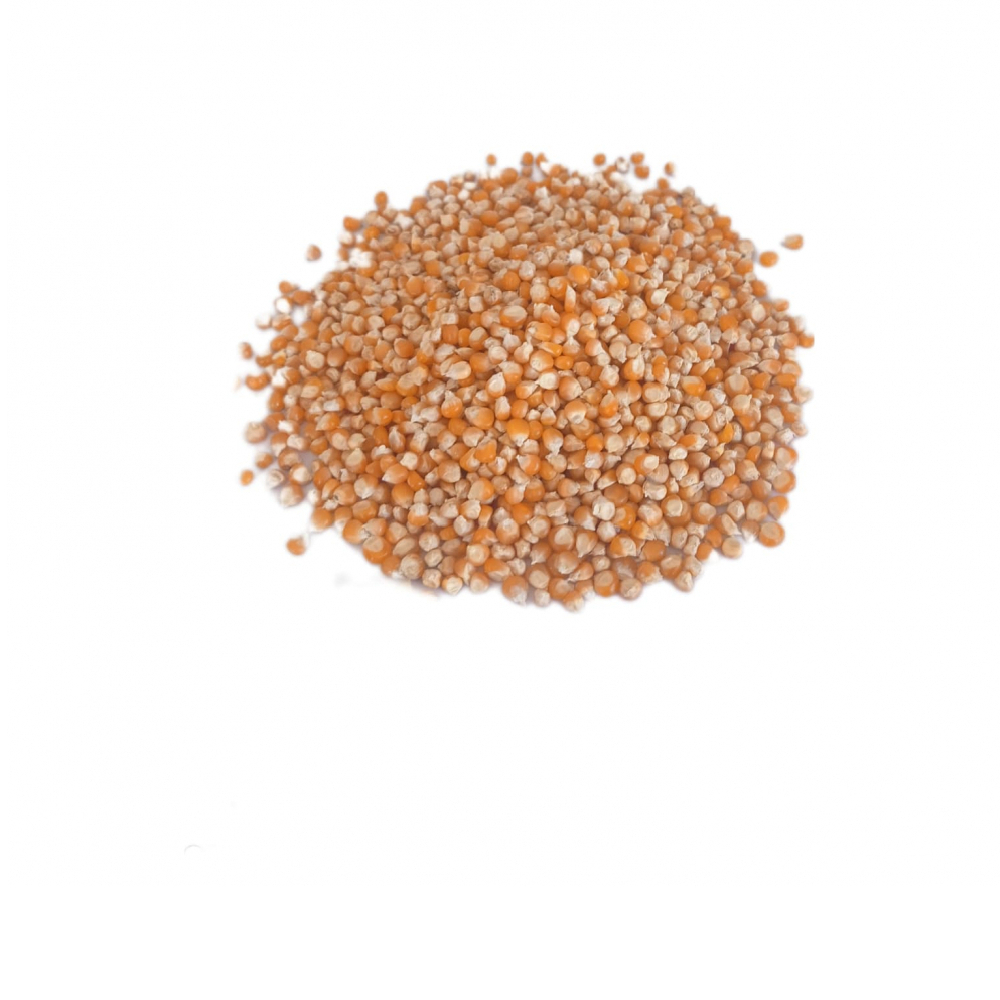 Maíz para Palomitas Arteaga Variedades (454 g / 1 lb) - Miniatura 3