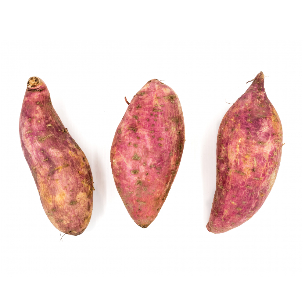 Boniato Campo Vivo (4.53 kg / 10 lb) - Miniatura 2