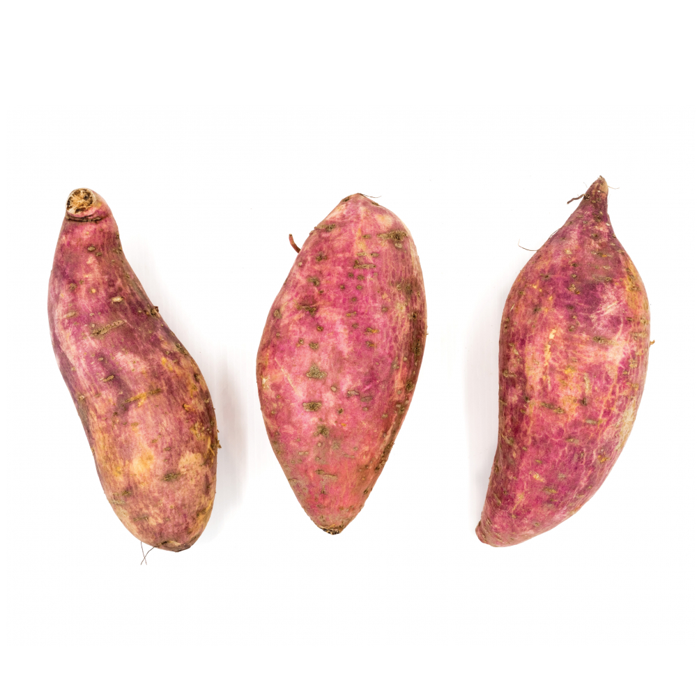 Boniato Campo Vivo (907 g / 2 lb) - Miniatura 2