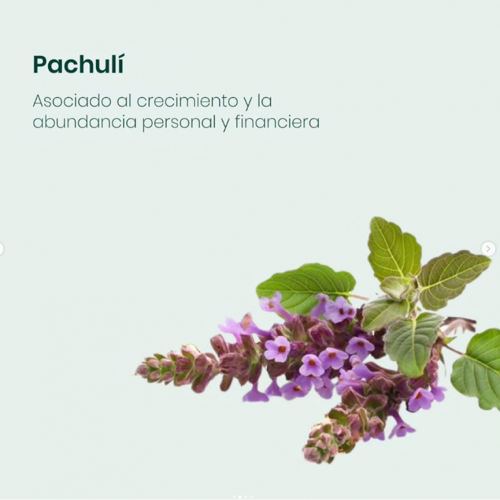 Incienso con aroma a pachuli Zed black (20 U) - Miniatura 4