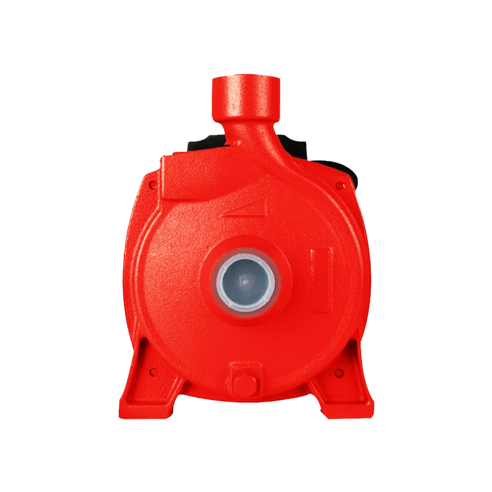 Bomba de agua centrífuga de 3/4 HP / 1" x 1" Dallkey DWPP_CPM146 - Miniatura 3