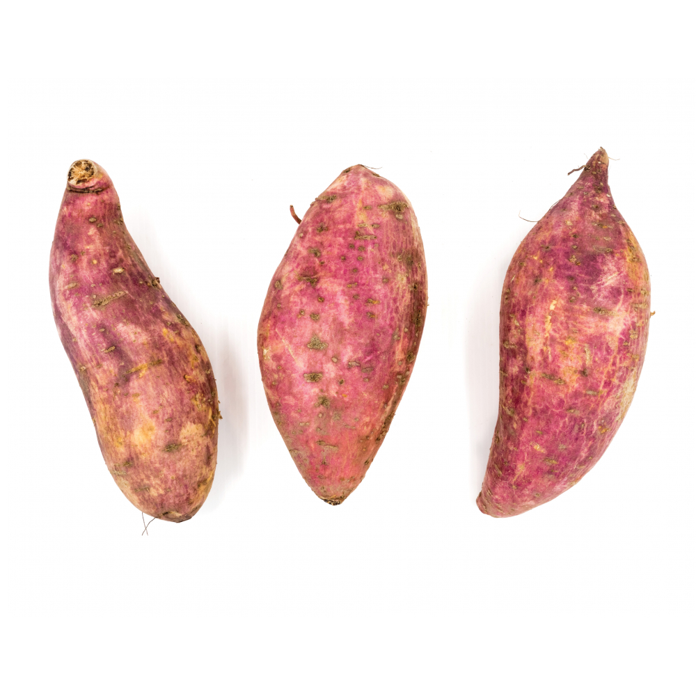 Boniato Campo Vivo (11.3 Kg / 25 lb) - Miniatura 3