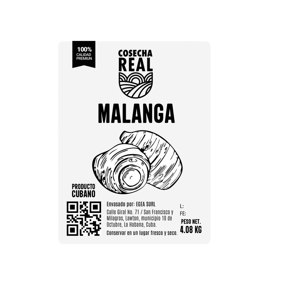 Malanga Cosecha Real (4.08 kg / 9 lb) - Miniatura 3