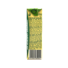 Zumo - jugo - de manzana Disfruta Don Simon (200 ml) - Miniatura 2